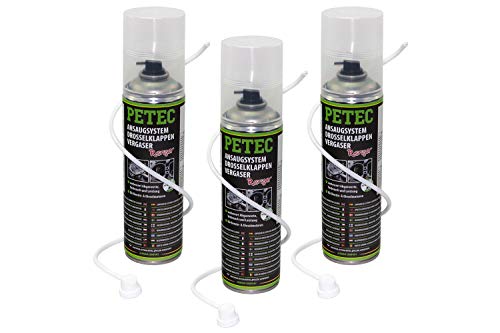 PETEC 72450 AGR Ventil Reiniger Drosselklappenreiniger...