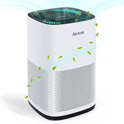 AIRTOK Luftreiniger, Luftreiniger Raucherzimmer mit H13 True HEPA...